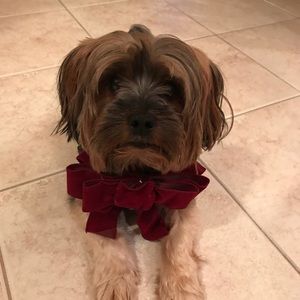 Meet your Posher, Carla